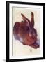 Field Hare-Albrecht Dürer-Framed Art Print