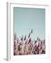 Field Haze-Design Fabrikken-Framed Photographic Print