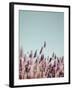 Field Haze-Design Fabrikken-Framed Photographic Print