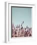 Field Haze-Design Fabrikken-Framed Photographic Print