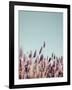 Field Haze-Design Fabrikken-Framed Photographic Print