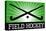 Field Hockey Crossed Sticks Green Sports Poster Print-null-Stretched Canvas