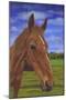 Field Horse-Karie-Ann Cooper-Mounted Giclee Print