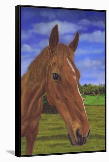 Field Horse-Karie-Ann Cooper-Framed Stretched Canvas