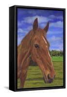 Field Horse-Karie-Ann Cooper-Framed Stretched Canvas