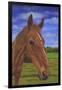 Field Horse-Karie-Ann Cooper-Framed Giclee Print