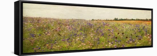 Field I - Mini-Amy Melious-Framed Stretched Canvas