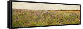 Field I - Mini-Amy Melious-Framed Stretched Canvas
