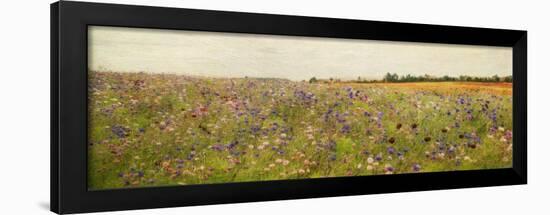 Field I - Mini-Amy Melious-Framed Art Print