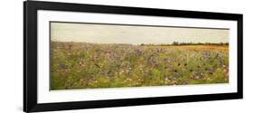 Field I - Mini-Amy Melious-Framed Premium Giclee Print