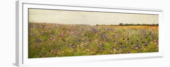 Field I - Mini-Amy Melious-Framed Premium Giclee Print