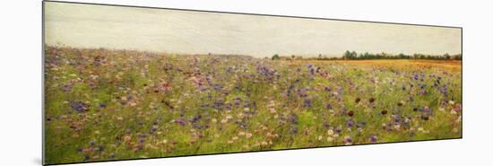 Field I - Mini-Amy Melious-Mounted Premium Giclee Print