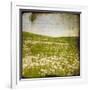 Field I-Ingrid Blixt-Framed Art Print