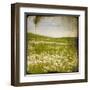 Field I-Ingrid Blixt-Framed Art Print