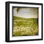 Field I-Ingrid Blixt-Framed Art Print