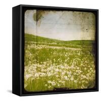 Field I-Ingrid Blixt-Framed Stretched Canvas