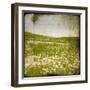 Field I-Ingrid Blixt-Framed Art Print