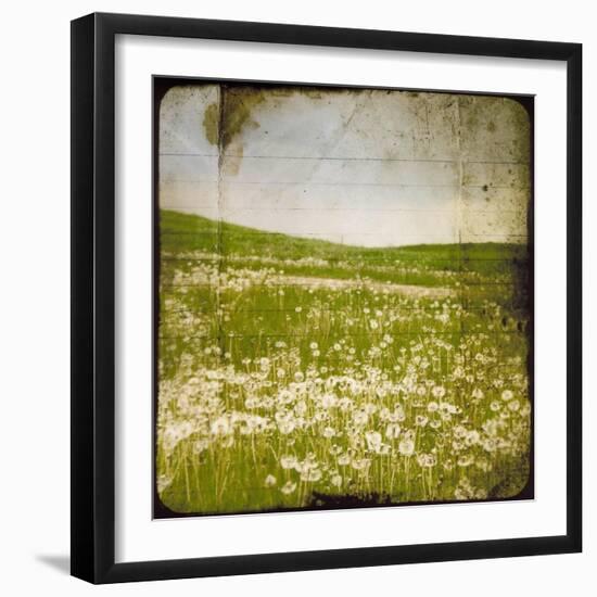 Field I-Ingrid Blixt-Framed Art Print