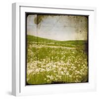 Field I-Ingrid Blixt-Framed Art Print