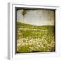 Field I-Ingrid Blixt-Framed Art Print