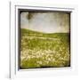 Field I-Ingrid Blixt-Framed Art Print