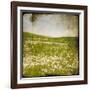 Field I-Ingrid Blixt-Framed Art Print