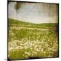 Field I-Ingrid Blixt-Mounted Art Print