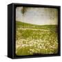 Field I-Ingrid Blixt-Framed Stretched Canvas