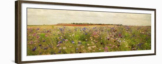 Field II - Mini-Amy Melious-Framed Premium Giclee Print