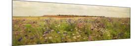 Field II - Mini-Amy Melious-Mounted Premium Giclee Print