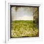 Field II-Ingrid Blixt-Framed Art Print