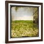 Field II-Ingrid Blixt-Framed Art Print