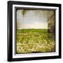 Field II-Ingrid Blixt-Framed Art Print