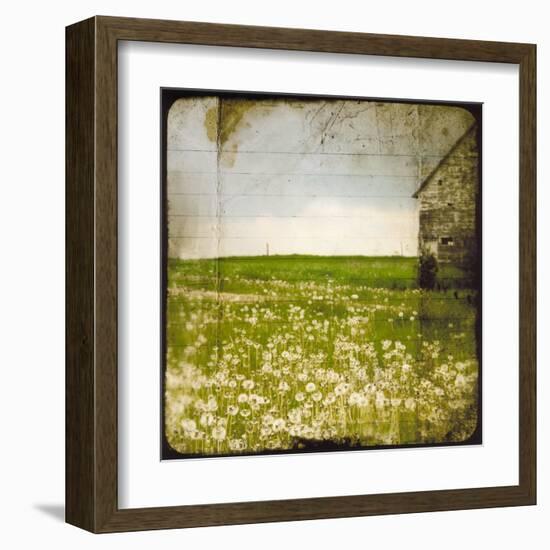 Field II-Ingrid Blixt-Framed Art Print