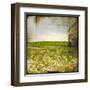 Field II-Ingrid Blixt-Framed Art Print