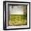 Field II-Ingrid Blixt-Framed Art Print