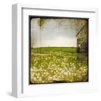 Field II-Ingrid Blixt-Framed Art Print