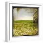 Field II-Ingrid Blixt-Framed Art Print