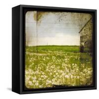 Field II-Ingrid Blixt-Framed Stretched Canvas