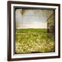 Field II-Ingrid Blixt-Framed Art Print