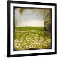 Field II-Ingrid Blixt-Framed Art Print