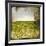 Field II-Ingrid Blixt-Framed Art Print