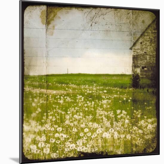 Field II-Ingrid Blixt-Mounted Art Print