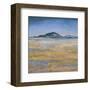 Field in Magical Light-Jeannie Sellmer-Framed Art Print