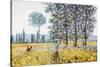 Field in Spring-Claude Monet-Stretched Canvas