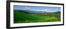 Field in Springtime, Ojai, California-null-Framed Photographic Print