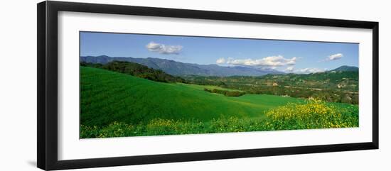 Field in Springtime, Ojai, California-null-Framed Photographic Print