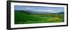 Field in Springtime, Ojai, California-null-Framed Photographic Print