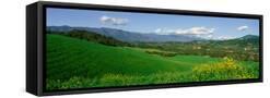 Canvas Black