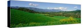 Stretched Canvas